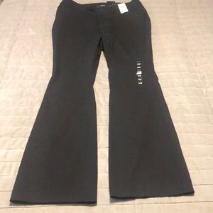 NWT Jetsetter Pant